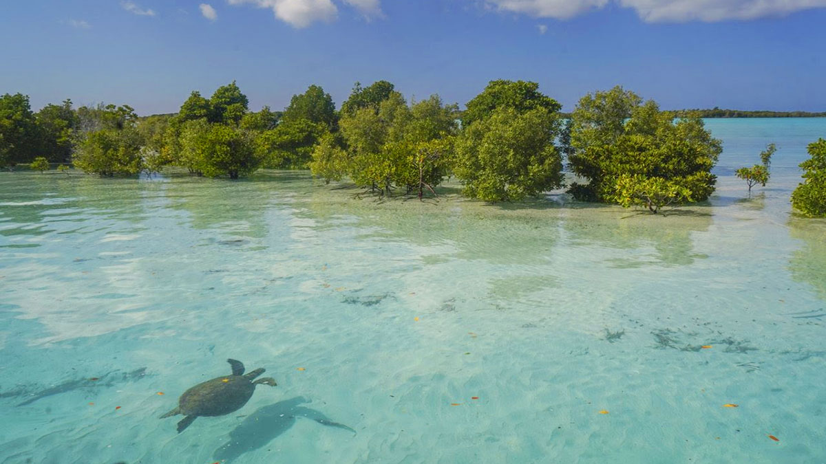 La taxe sur la durabilité environnementale du tourisme des Seychelles est entrée en vigueur